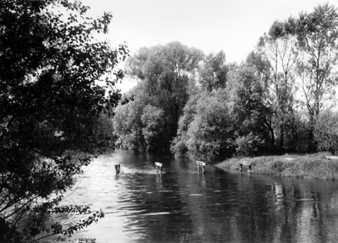 Schleuse Forchheim - Wiesent