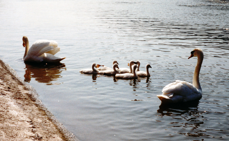 Main-Donau-Kanal - Schleuse Kelheim