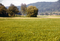 Main-Donau-Kanal - Schleuse Riedenburg