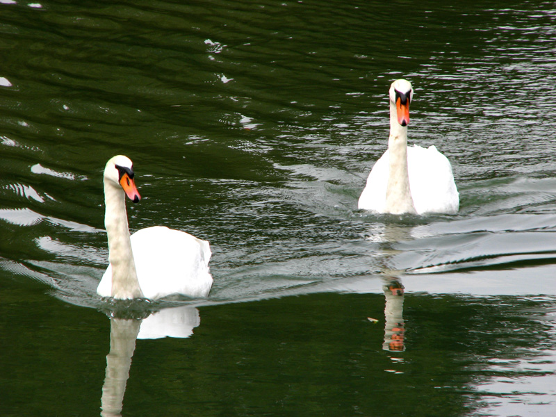 Bilder Ludwigskanal- Bild Schleuse 10 Eggersberg