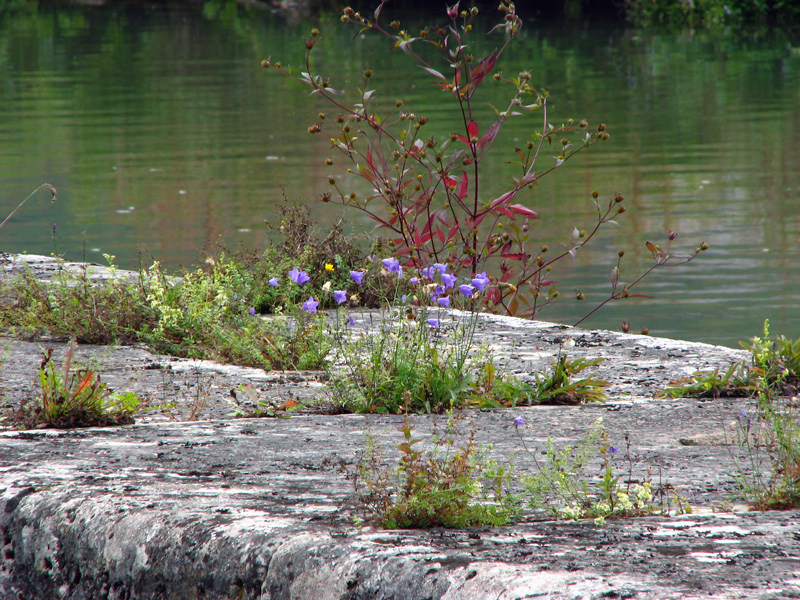 Bilder Ludwigskanal- Bild Schleuse 10 Eggersberg