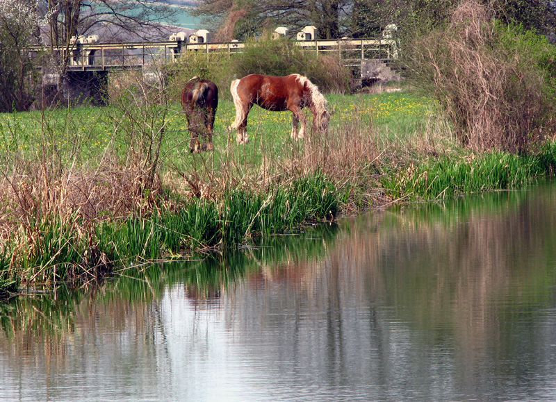 Bilder Ludwigskanal - Bild Schleuse 12