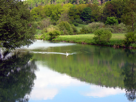 Bilder Ludwigskanal - Bild Schleuse 12