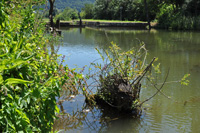 Schleuse 14 - Alcmona