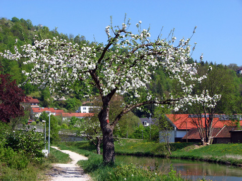 Bilder Ludwigskanal - Bild: Bei Schleuse 1