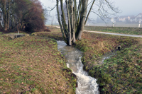 Schleuse 24