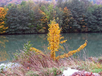 Schleuse 4