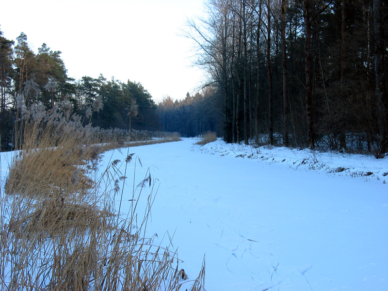 Schleuse 37