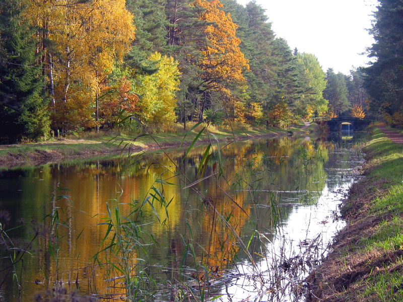 Ludwig-Donau-Main-Kanal