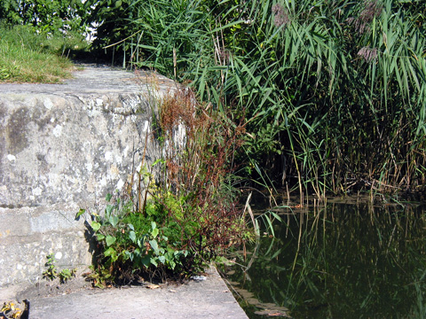Schleuse 63