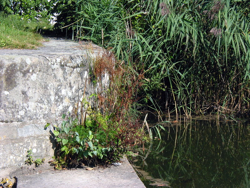 Schleuse 63