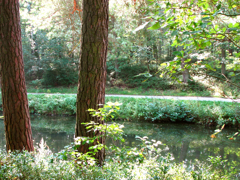 Schleuse 64 - Brücke Sorg