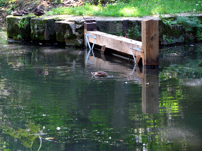 Schleuse 64 - Brücke Sorg