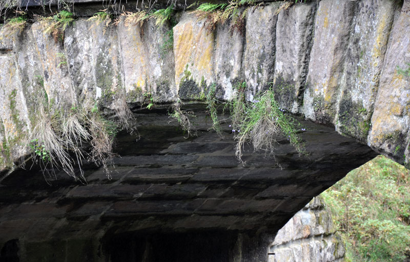 Schleuse 64 - Brücke Sorg