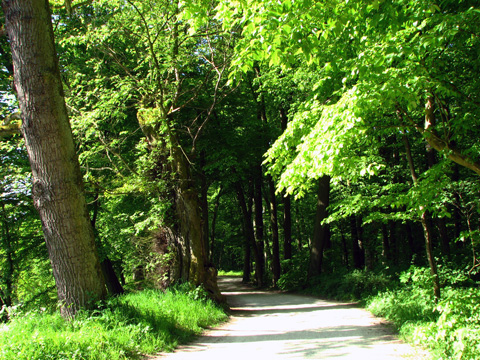 Bamberg - Theresienhain