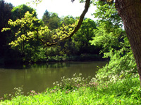 Bamberg - Theresienhain