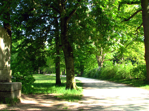 Bamberg - Theresienhain