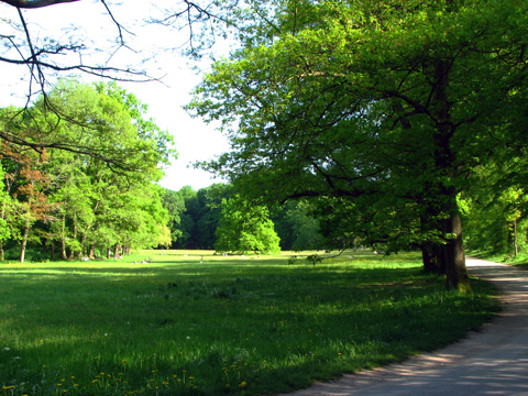 Bamberg - Theresienhain