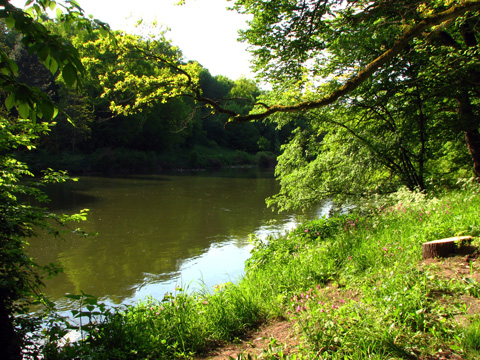 Bamberg - Theresienhain