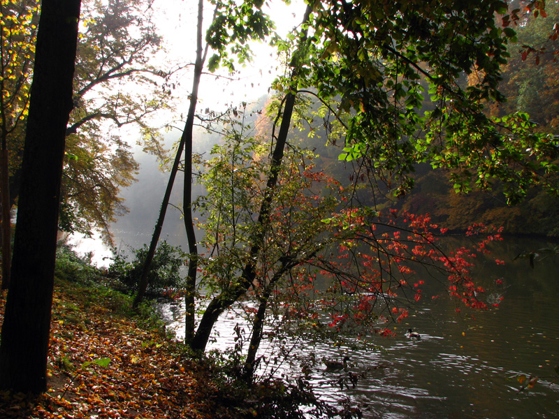 Bamberg - Theresienhain