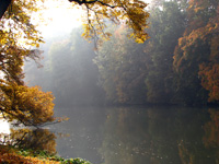 Bamberg - Theresienhain