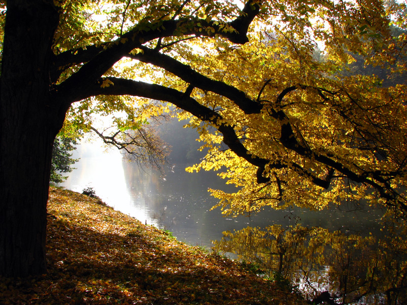 Bamberg - Theresienhain