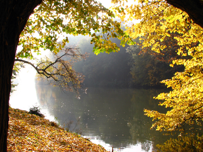 Bamberg - Theresienhain