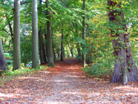 Bamberg - Theresienhain