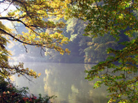 Bamberg - Theresienhain