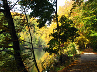 Bamberg - Theresienhain