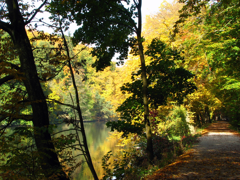 Bamberg - Theresienhain