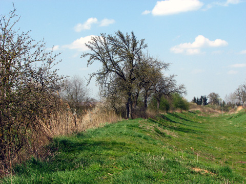 Eggolsheim-Neuses