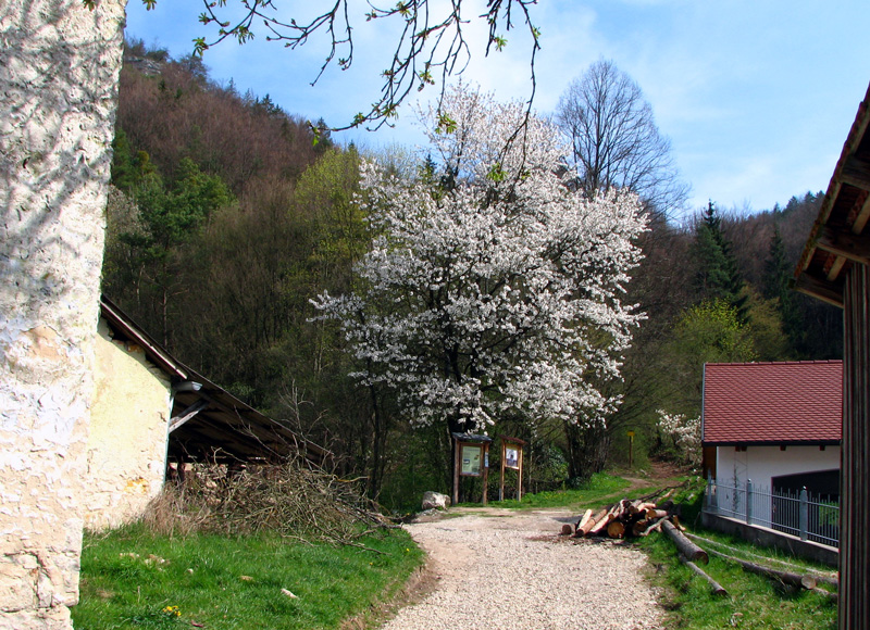 Mühlbach