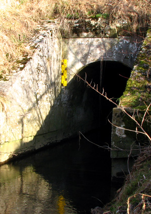 Neumarkt in der Oberpfalz