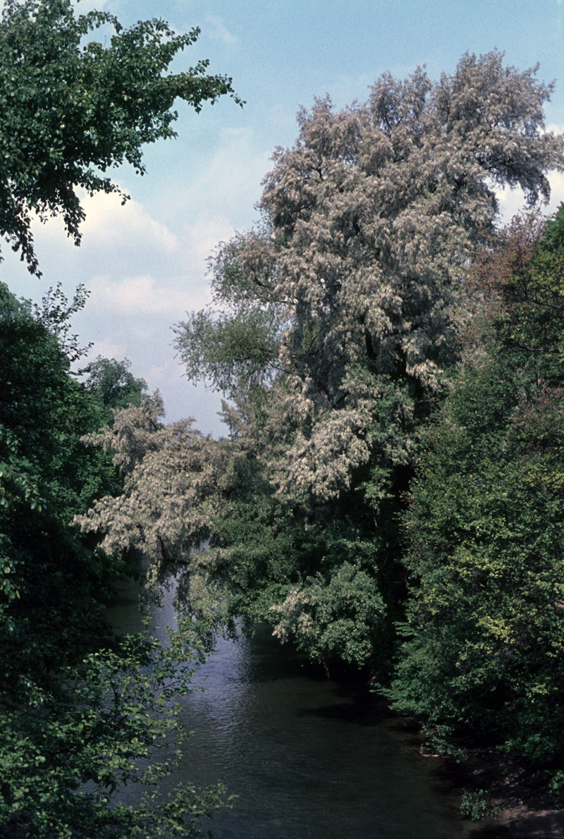 Nürnberg - Pegnitz