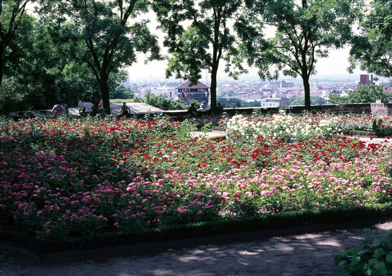 Nürnberg