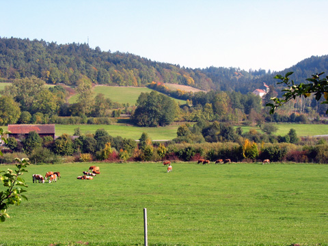 Plankstetten