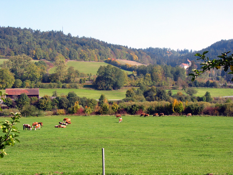 Plankstetten