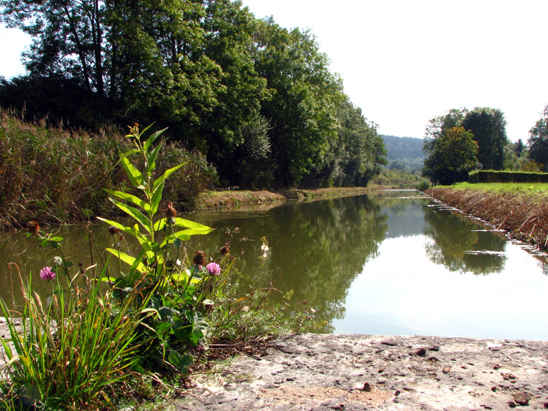 Plankstetten