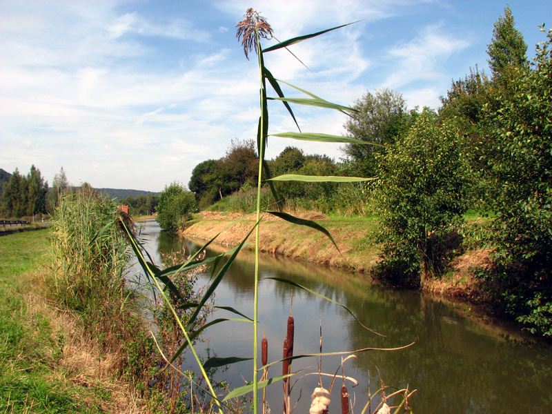 Plankstetten