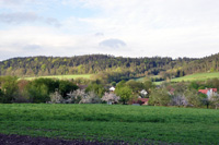 Plankstetten