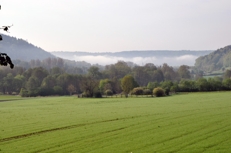 Plankstetten