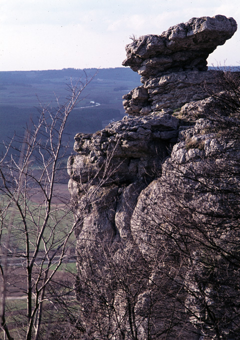 Wolfstein