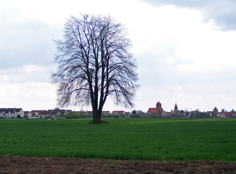 Worzeldorf