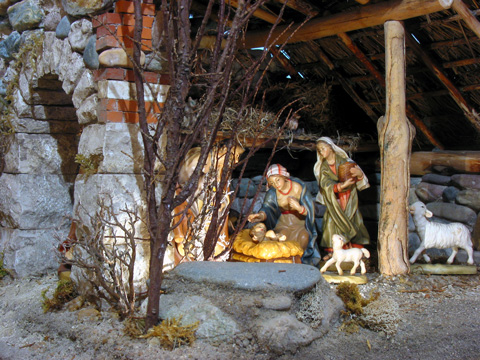 Nativity Scene of Peace