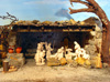 Stall Nativity Scene